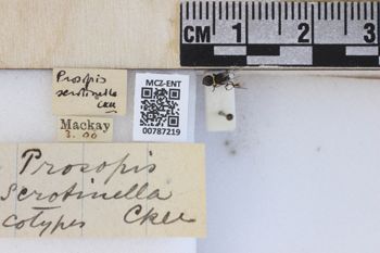 Media type: image;   Entomology 787219 Aspect: labels